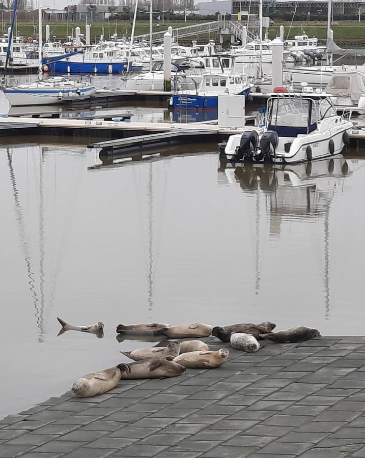 Zon, Zee En Ontspanning Middelkerke Dış mekan fotoğraf